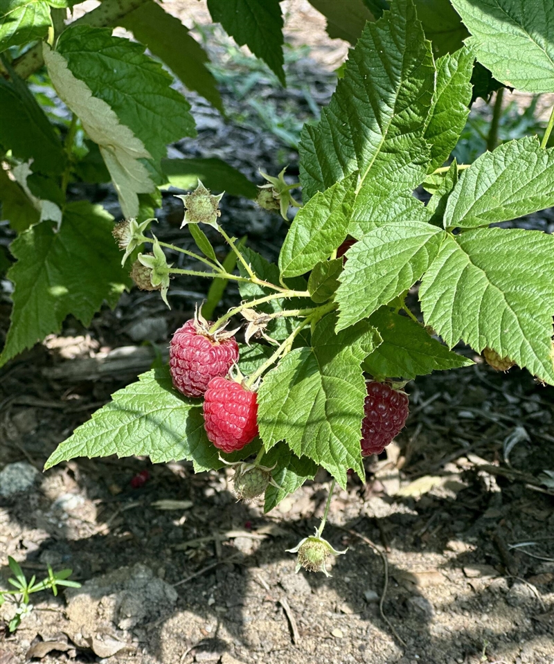 22942 M-43, Kalamazoo, MI, 49009