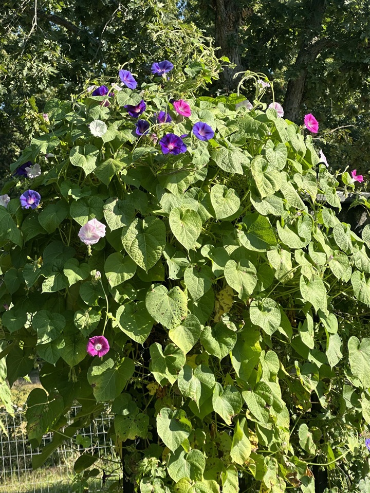 22942 M-43, Kalamazoo, MI, 49009