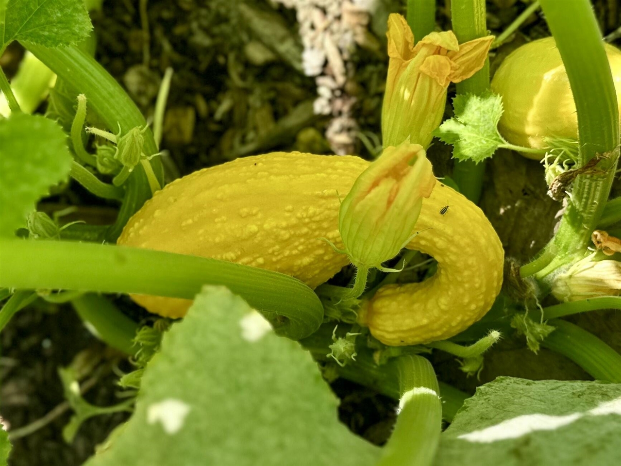 22942 M-43, Kalamazoo, MI, 49009