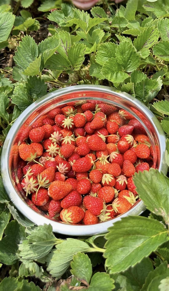 22942 M-43, Kalamazoo, MI, 49009