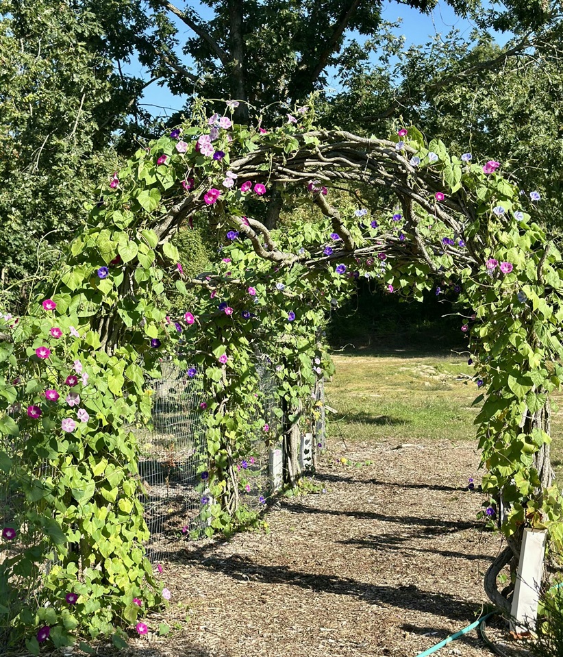 22942 M-43, Kalamazoo, MI, 49009