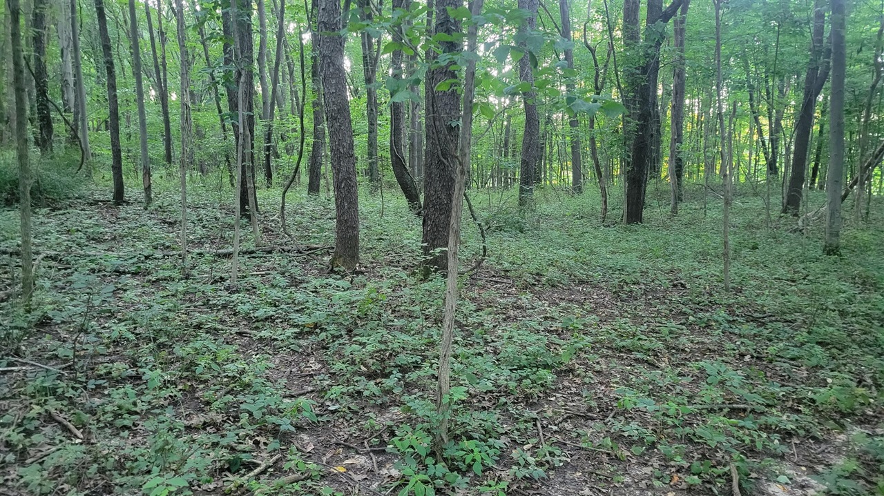 44702 56th Avenue, Paw Paw, MI, 49079-9730