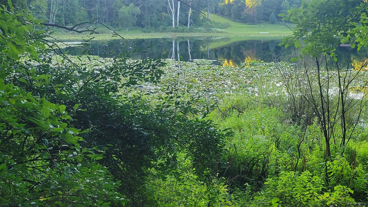 44702 56th Avenue, Paw Paw, MI, 49079-9730