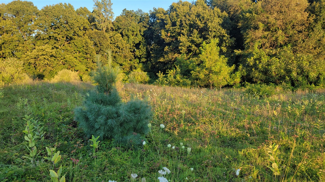 44702 56th Avenue, Paw Paw, MI, 49079-9730