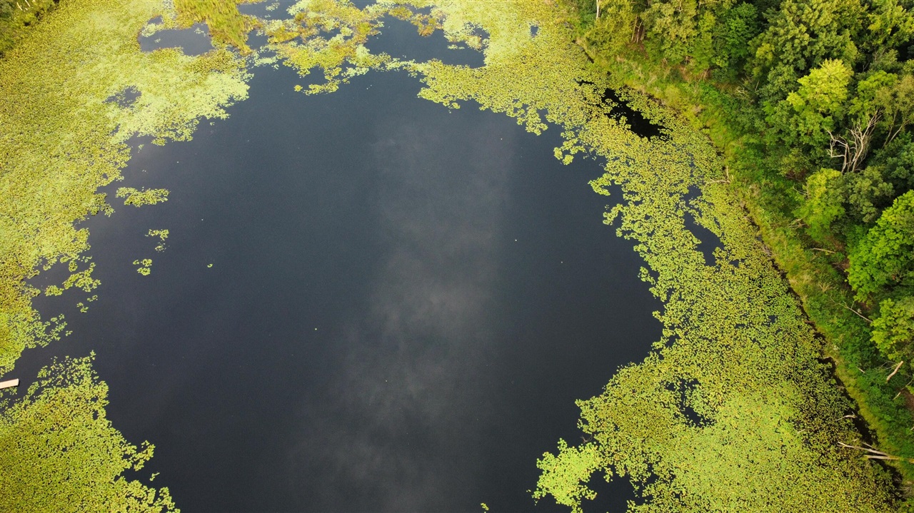 44702 56th Avenue, Paw Paw, MI, 49079-9730