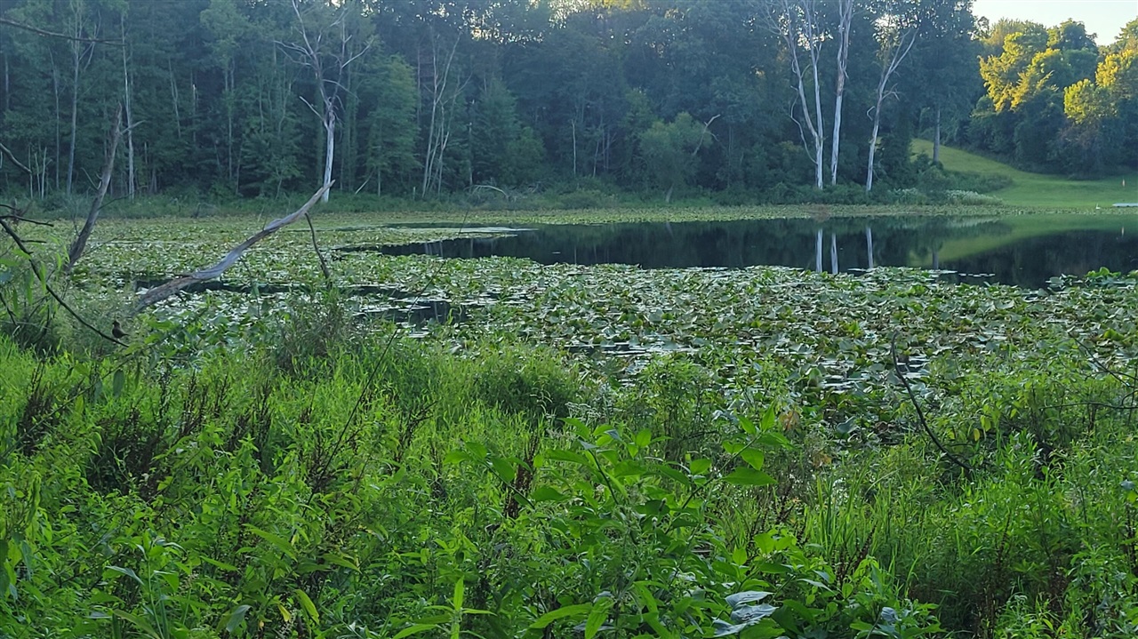 44702 56th Avenue, Paw Paw, MI, 49079-9730