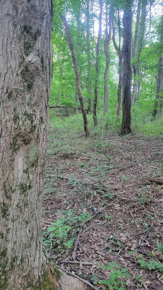 44702 56th Avenue, Paw Paw, MI, 49079-9730