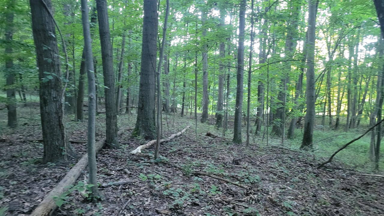 44702 56th Avenue, Paw Paw, MI, 49079-9730