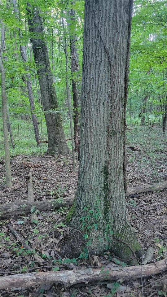 44702 56th Avenue, Paw Paw, MI, 49079-9730