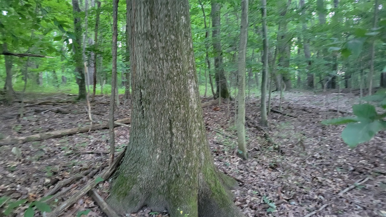 44702 56th Avenue, Paw Paw, MI, 49079-9730