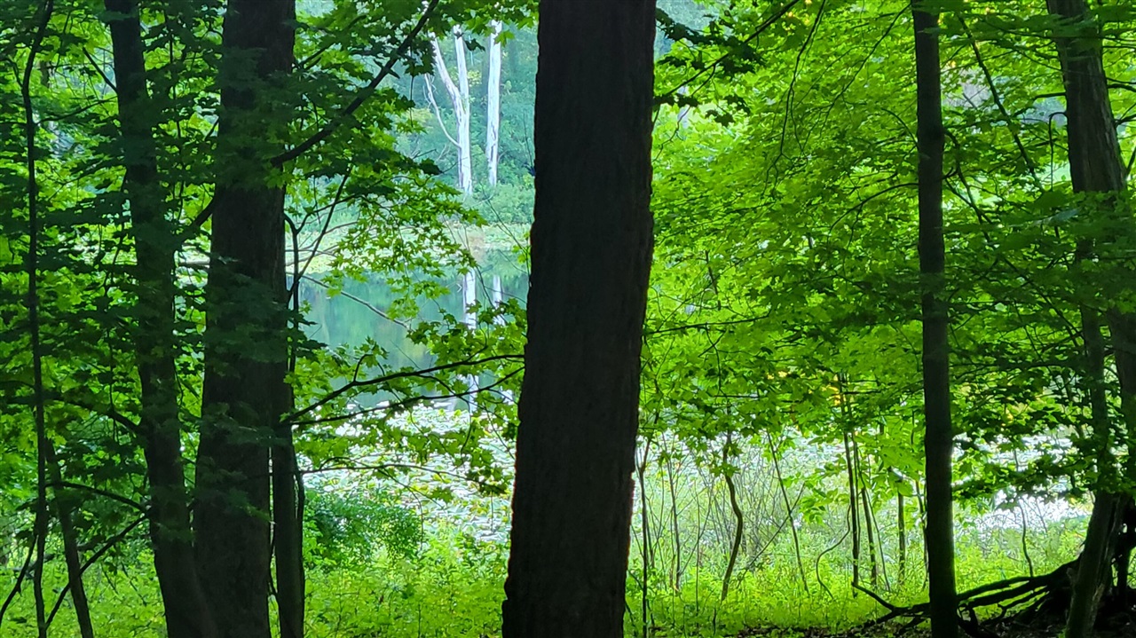 44702 56th Avenue, Paw Paw, MI, 49079-9730