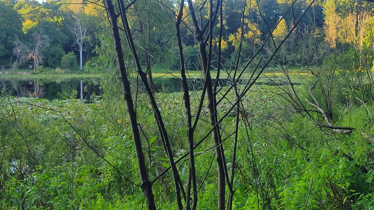 44702 56th Avenue, Paw Paw, MI, 49079-9730