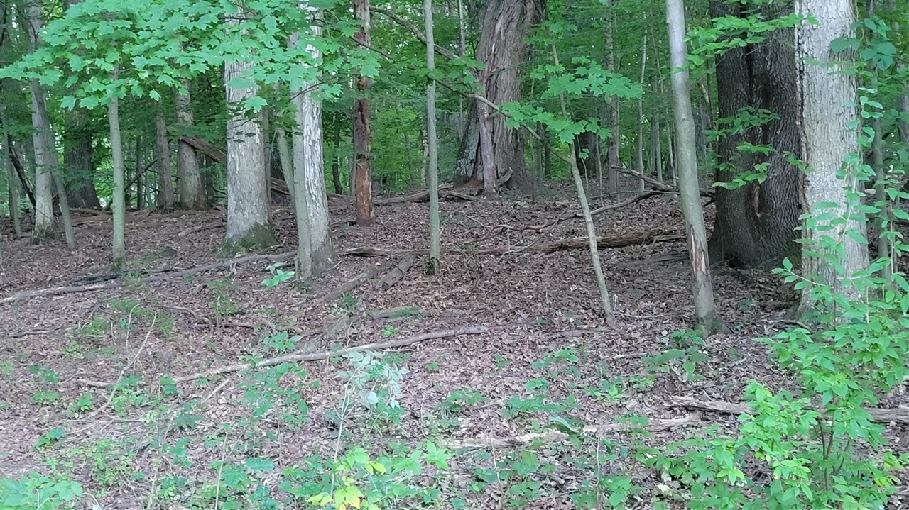 44702 56th Avenue, Paw Paw, MI, 49079-9730