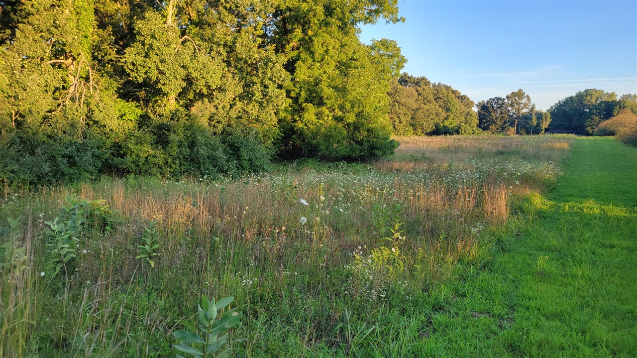 44702 56th Avenue, Paw Paw, MI, 49079-9730