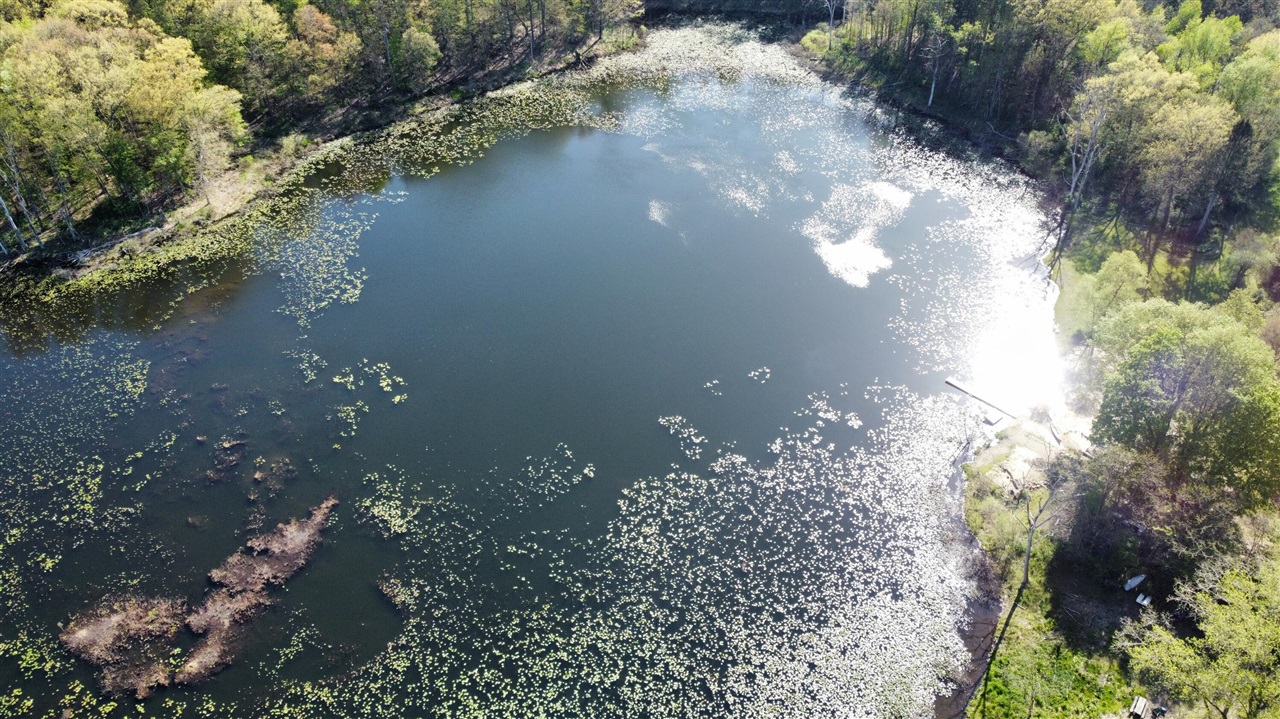 44702 56th Avenue, Paw Paw, MI, 49079-9730