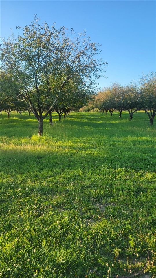 44702 56th Avenue, Paw Paw, MI, 49079-9730