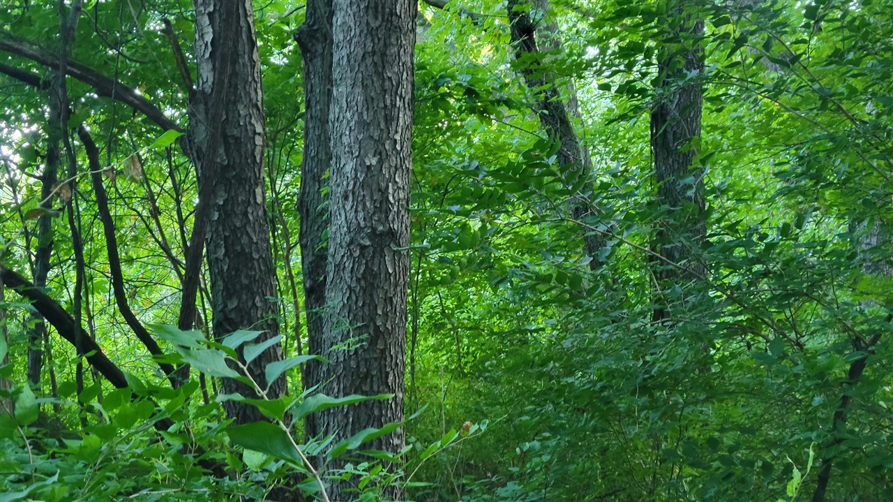 44702 56th Avenue, Paw Paw, MI, 49079-9730