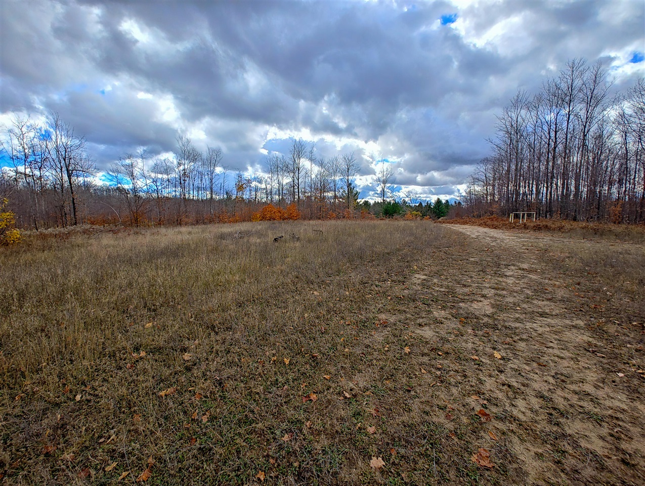 Homes for sale in Mancelona, MI | Vl Mancelona Rd, Mancelona, MI 49659 | MLS# 70503196