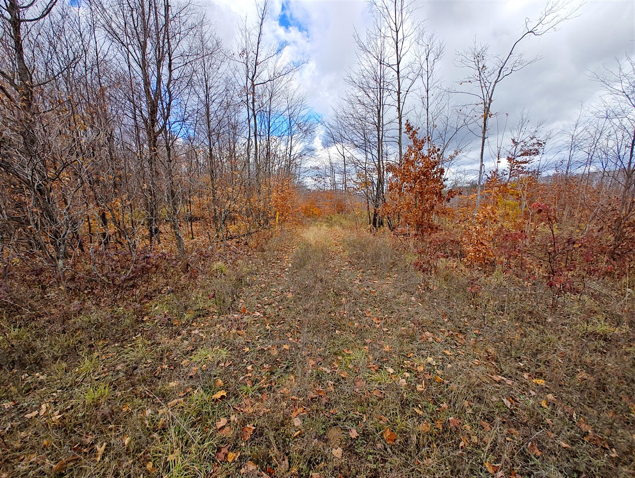 Homes for sale in Mancelona, MI | Vl Mancelona Rd, Mancelona, MI 49659 | MLS# 70503196