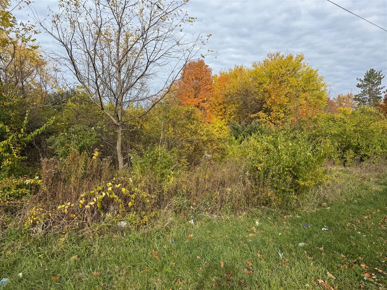 1st image of 179 Collins Ave, Benton Harbor, MI 49022 | MLS# 70503372