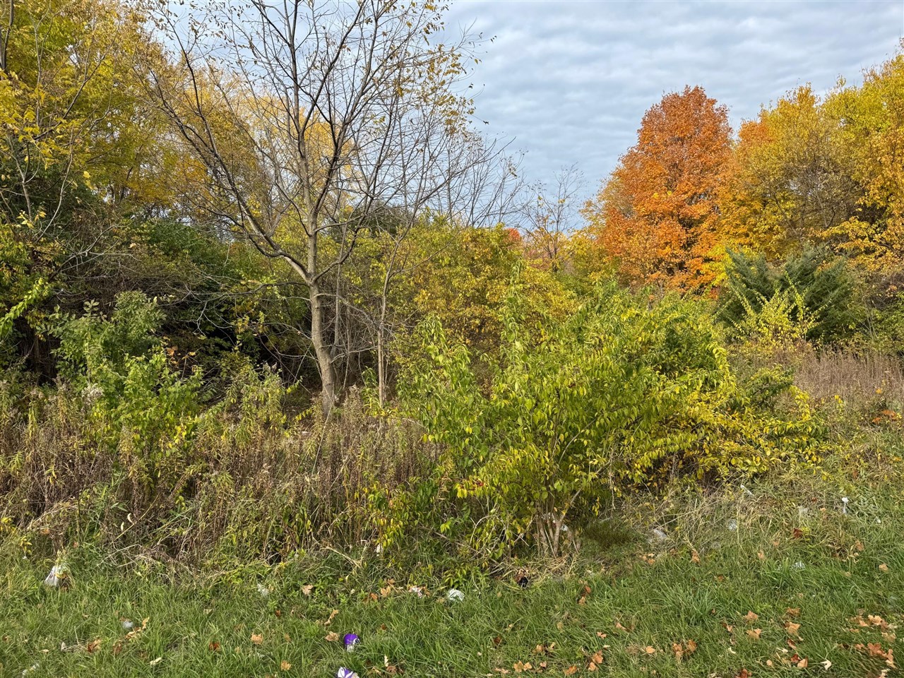 2nd image of 179 Collins Ave, Benton Harbor, MI 49022 | MLS# 70503372