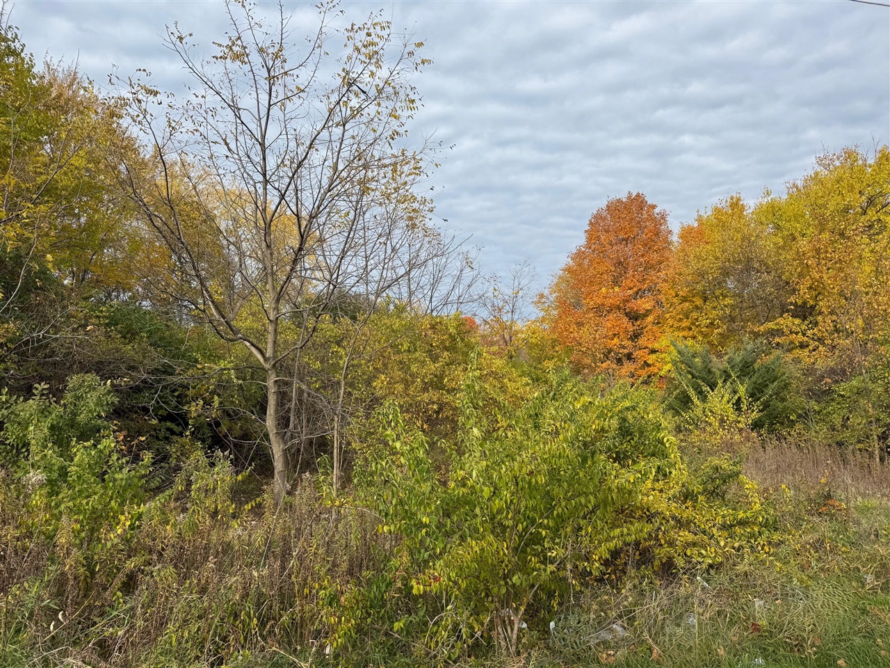 3rd image of 179 Collins Ave, Benton Harbor, MI 49022 | MLS# 70503372