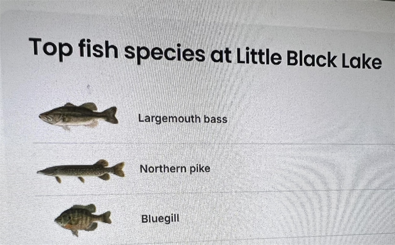 7087 Black Lake Road, Norton Shores, MI, 49444