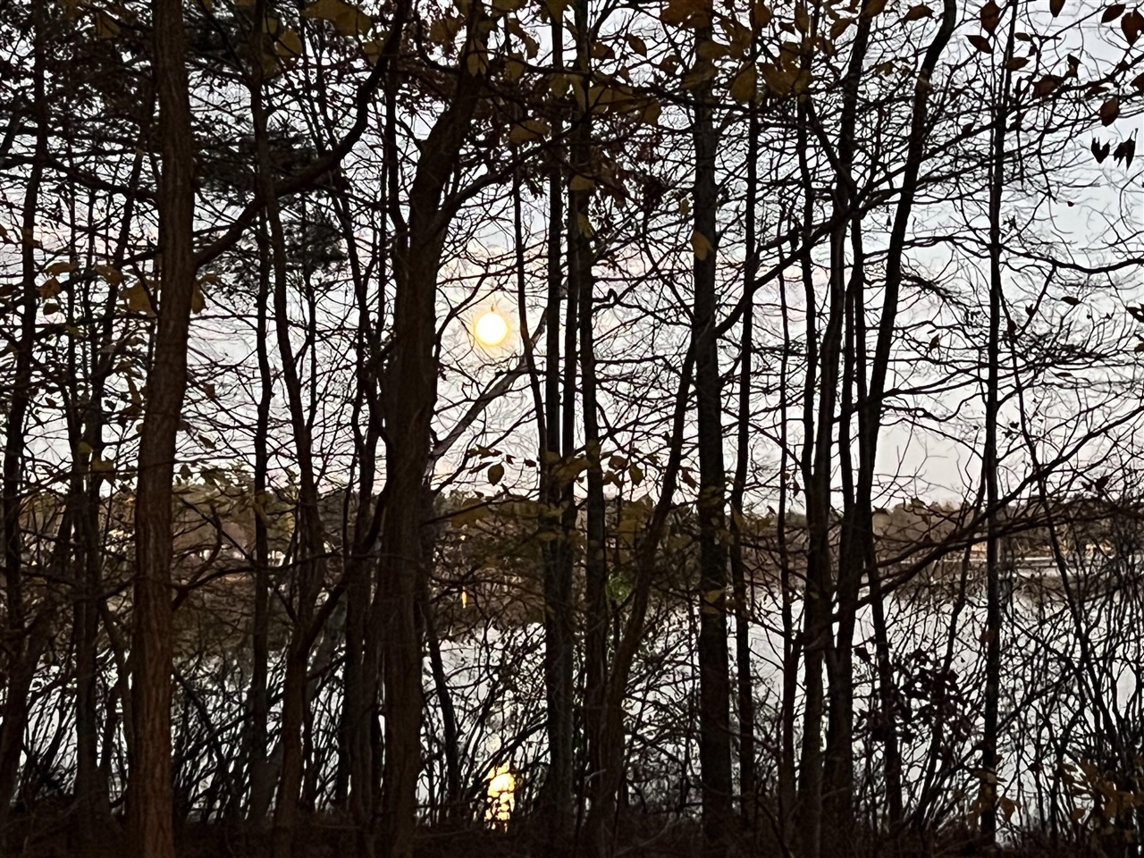 7087 Black Lake Road, Norton Shores, MI, 49444