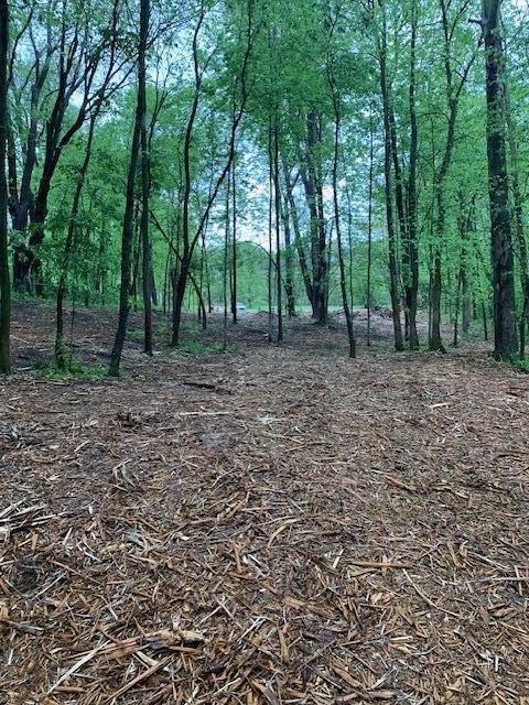 2729 138th Avenue, Dorr, MI, 49323