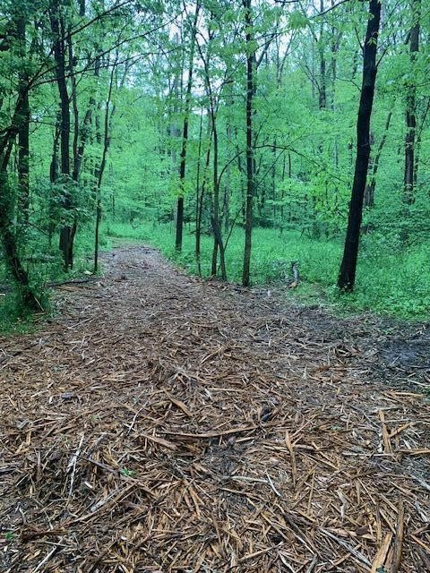 2729 138th Avenue, Dorr, MI, 49323