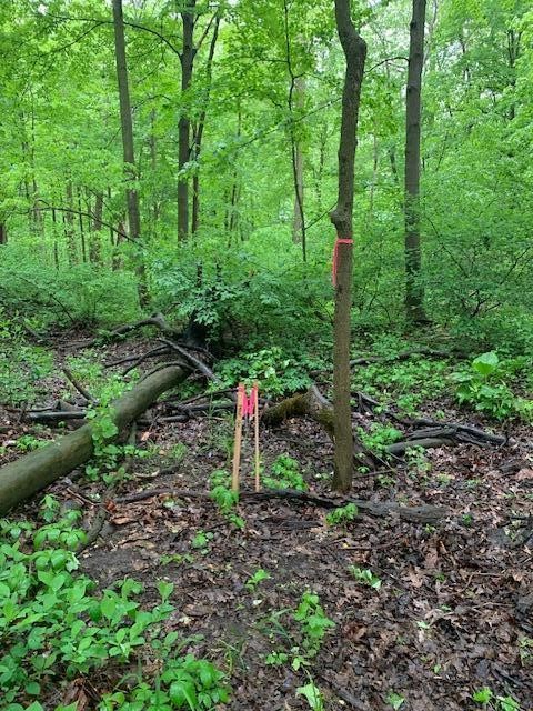 2729 138th Avenue, Dorr, MI, 49323