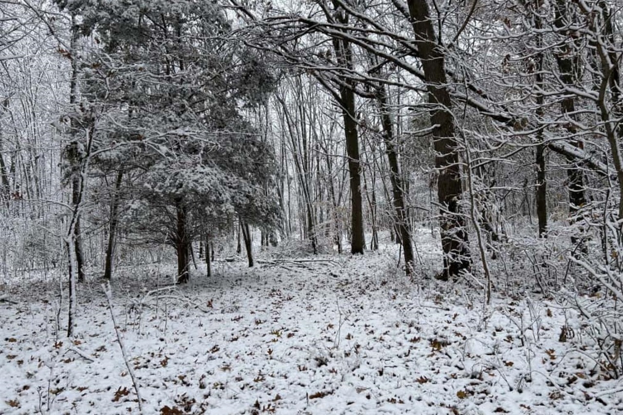 W Mosherville Road, Litchfield, MI, 49252