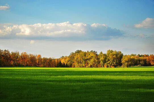 lots 31 & 43 N Canal St Drive, Onsted, MI, 49265