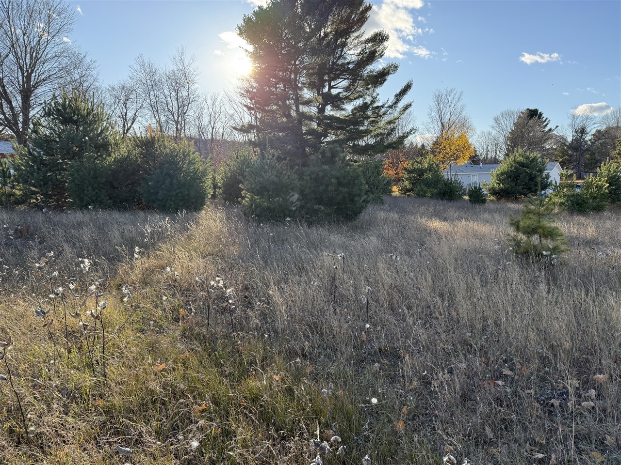 Homes for sale in Bear Lake, MI | 001 Ninth St, Bear Lake, MI 49614 | MLS# 70505143