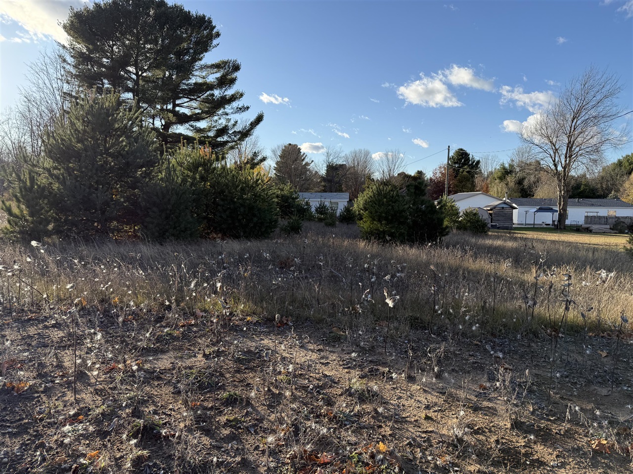 Homes for sale in Bear Lake, MI | 001 Ninth St, Bear Lake, MI 49614 | MLS# 70505143