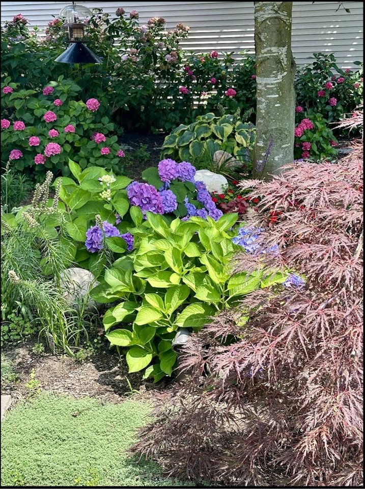 17711 Cobblefield Lane, Spring Lake, MI, 49456-9264