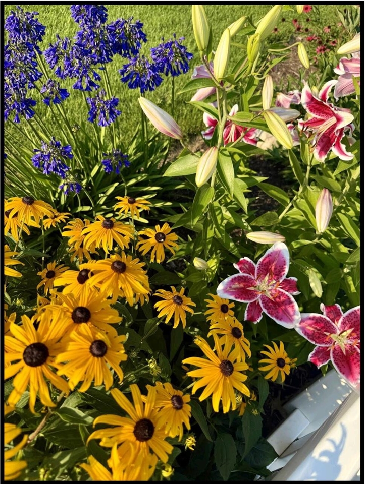 17711 Cobblefield Lane, Spring Lake, MI, 49456-9264