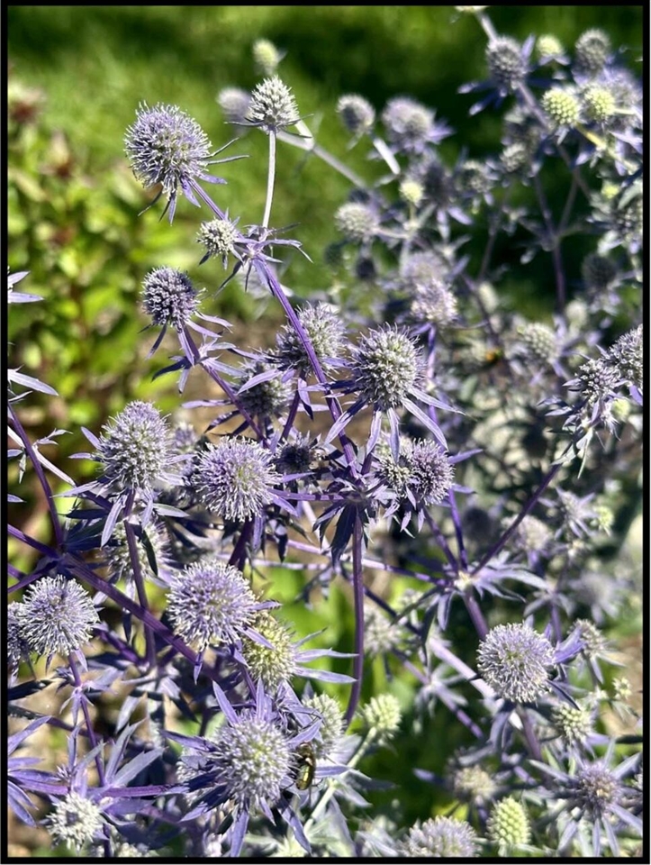 17711 Cobblefield Lane, Spring Lake, MI, 49456-9264