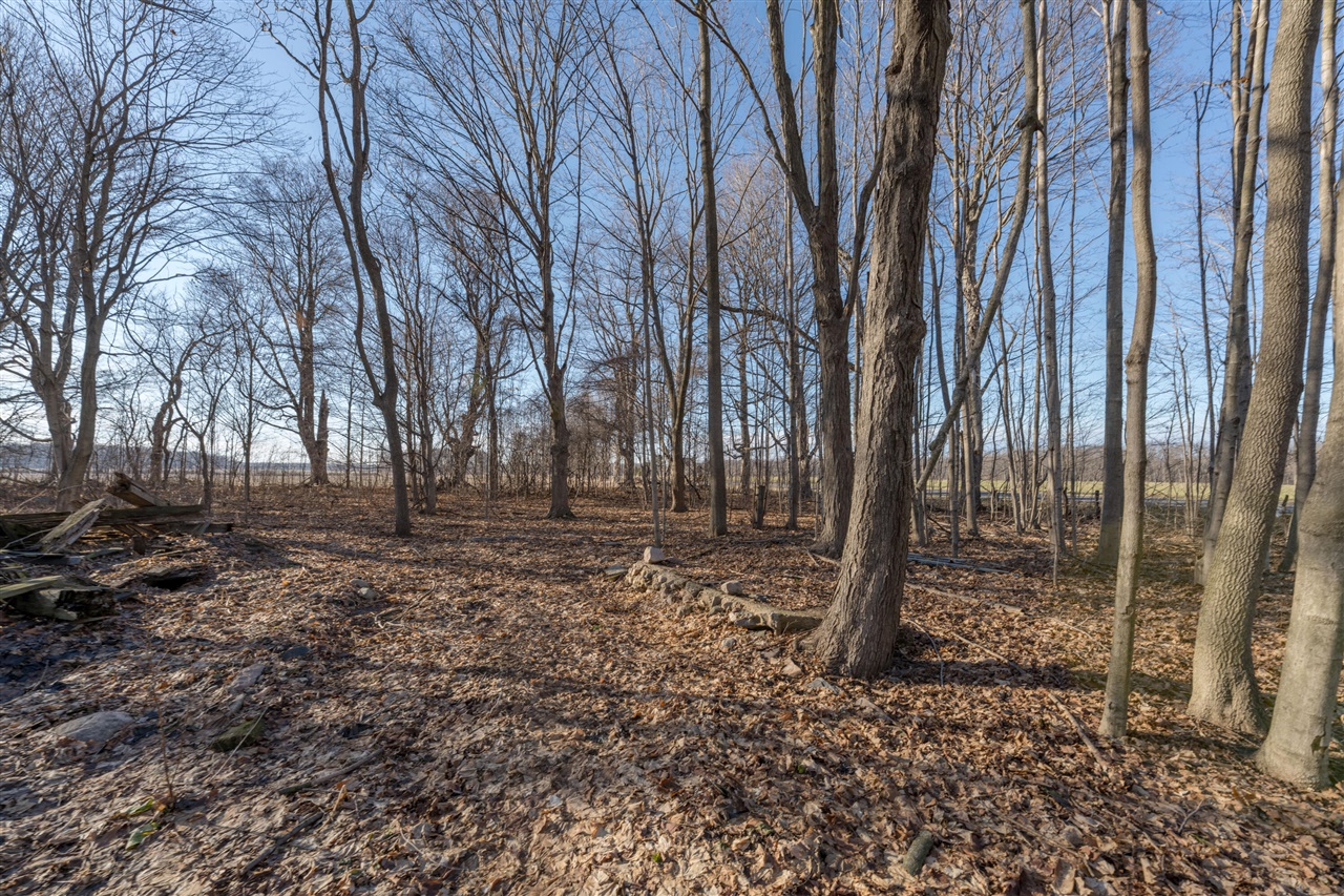 Homes for sale in Mendon, MI | 54516 Silver St, Mendon, MI 49072 | MLS# 70505429