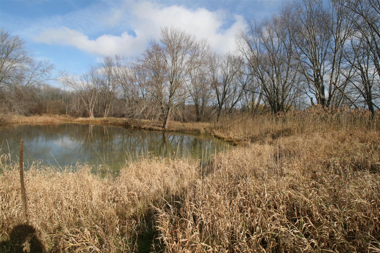 2889 Mill Station Road, Hale, MI, 48739 9253