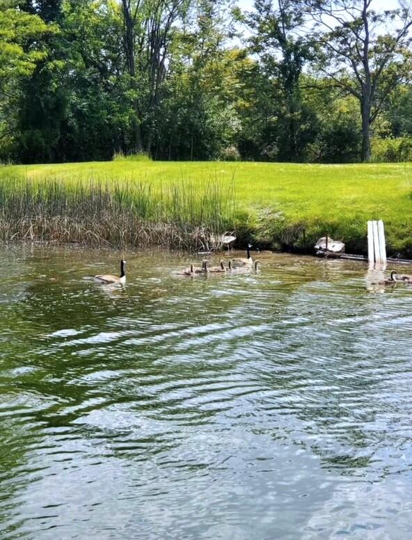 4th image of 66335 N Centerville Rd, Sturgis, MI 49091 | MLS# 70506167