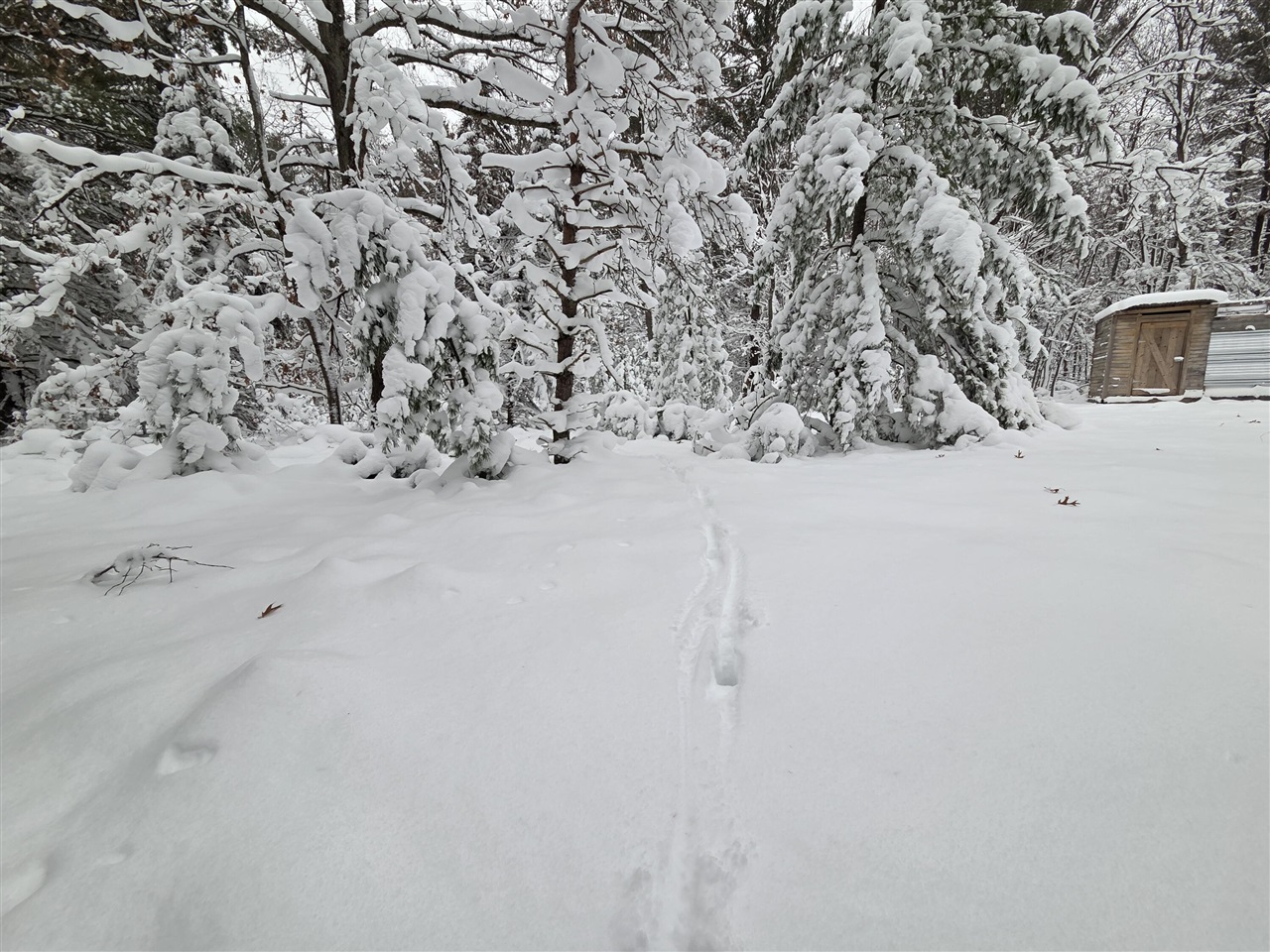 Homes for sale in Luther, MI | V/L Abermanis Trl, Luther, MI 49656 | MLS# 70506782