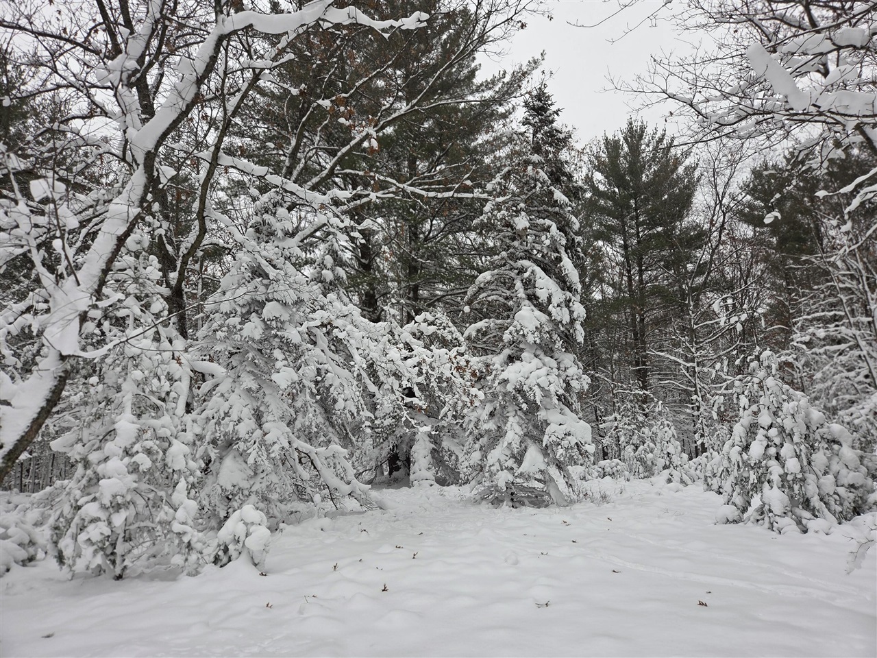 Homes for sale in Luther, MI | V/L Abermanis Trl, Luther, MI 49656 | MLS# 70506782