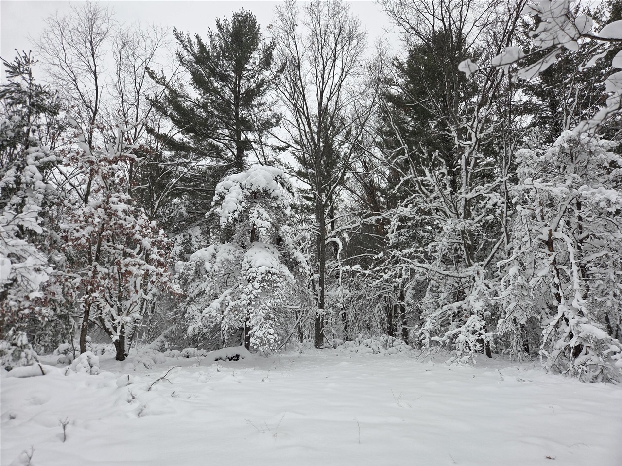 Homes for sale in Luther, MI | V/L Abermanis Trl, Luther, MI 49656 | MLS# 70506782