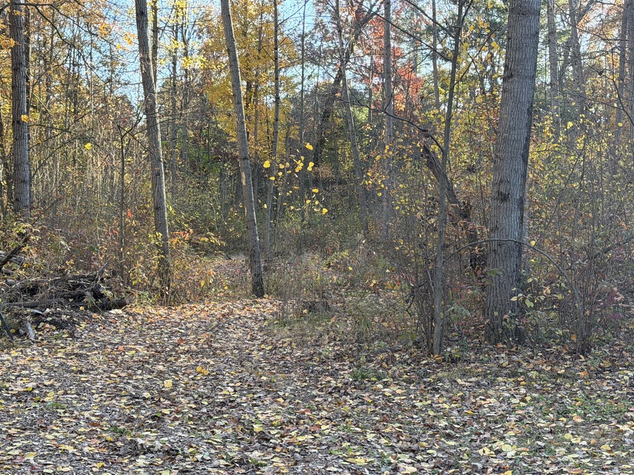 V/L Maple Hill Road, Howard City, MI, 49329