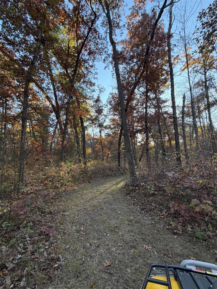 V/L Maple Hill Road, Howard City, MI, 49329