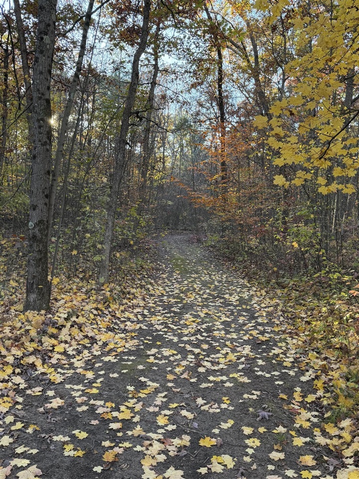 V/L Maple Hill Road, Howard City, MI, 49329