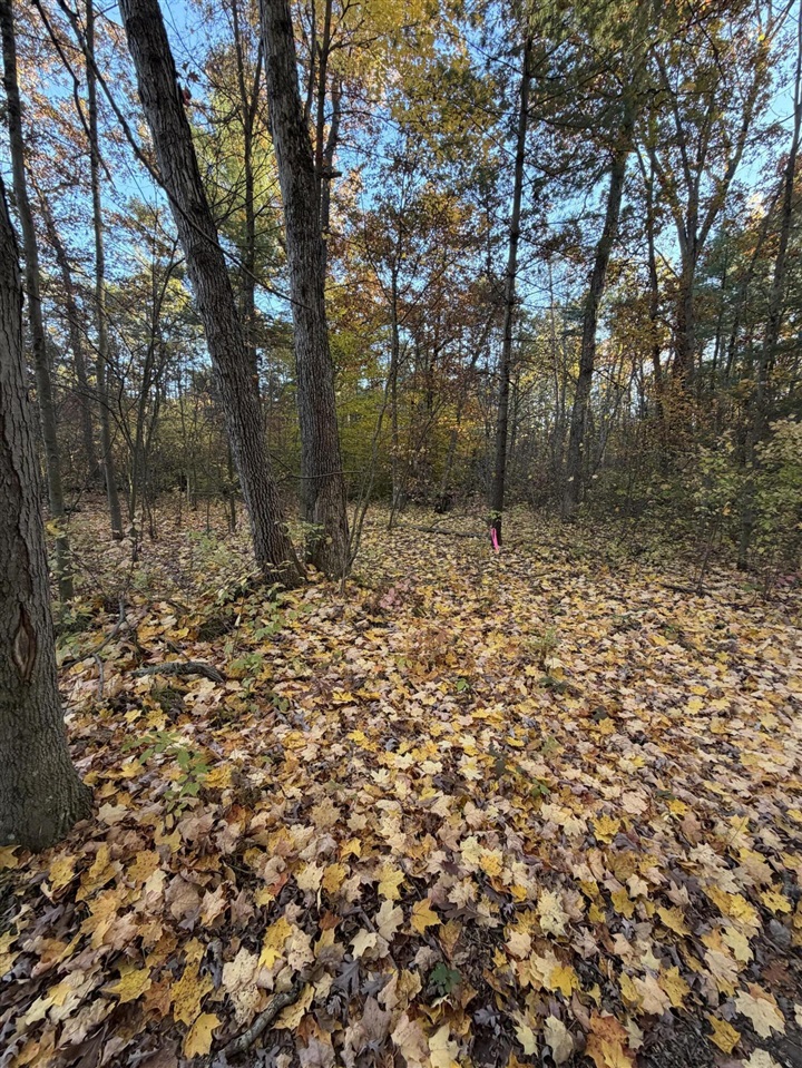 V/L Maple Hill Road, Howard City, MI, 49329