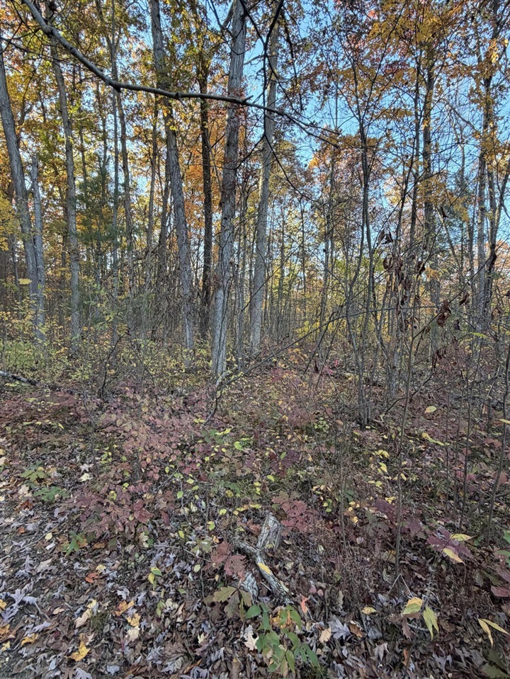 V/L Maple Hill Road, Howard City, MI, 49329