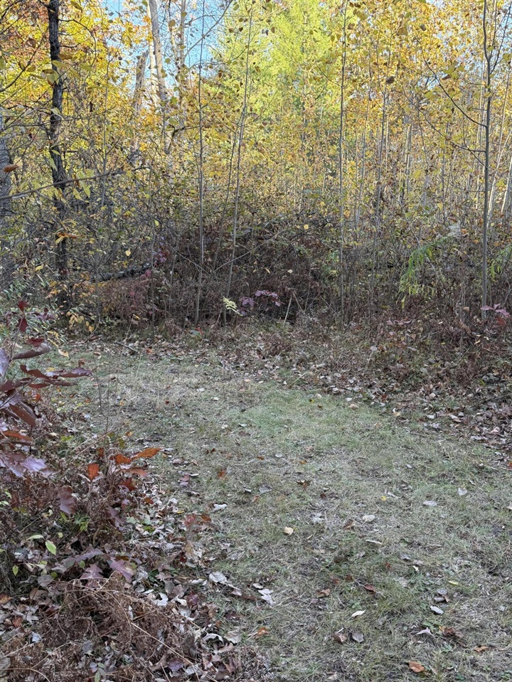 V/L Maple Hill Road, Howard City, MI, 49329